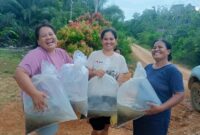 Gambar-WhatsApp-2025-11-26-pukul-09.47.57_a9a495f2-800x800-1