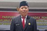 WhatsApp-Image-2025-11-24-at-22.08.48-800x564